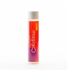 Buy Magigoo Orginal 120ml - The 3D printing adhesive at SoluNOiD.dk - Online